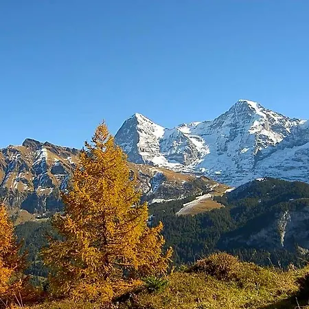 Hostel Valley Lauterbrunnen