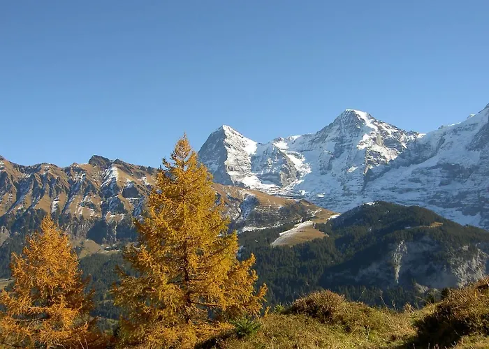 Valley Vandrerhjem *